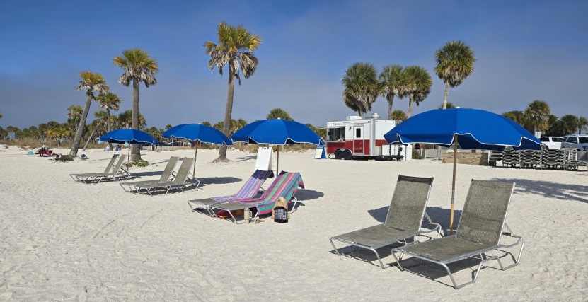 Beach Chairs & Umbrellas